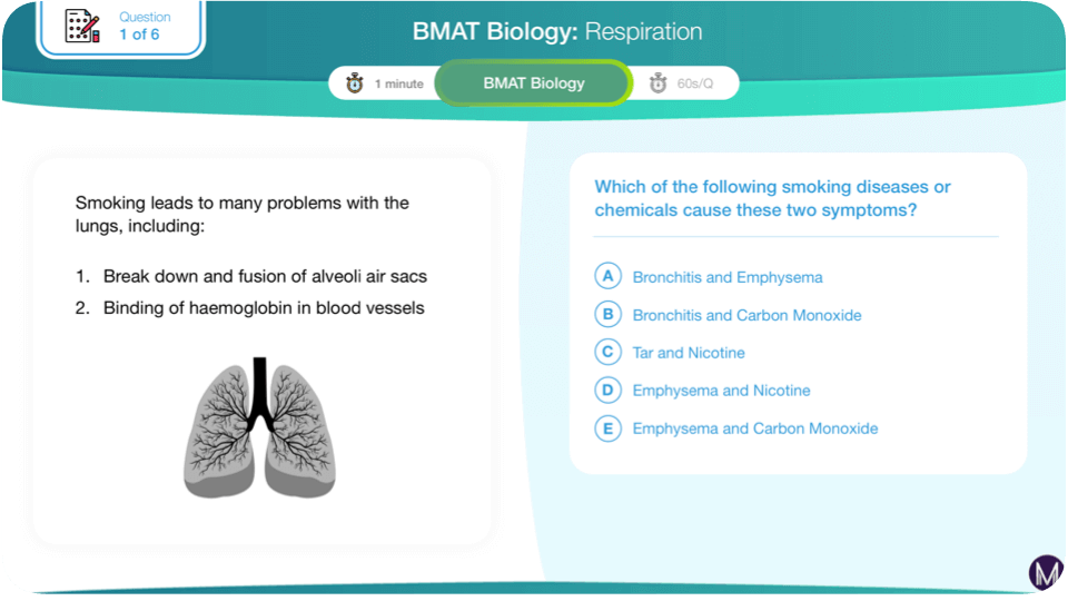 BMAT Section 2