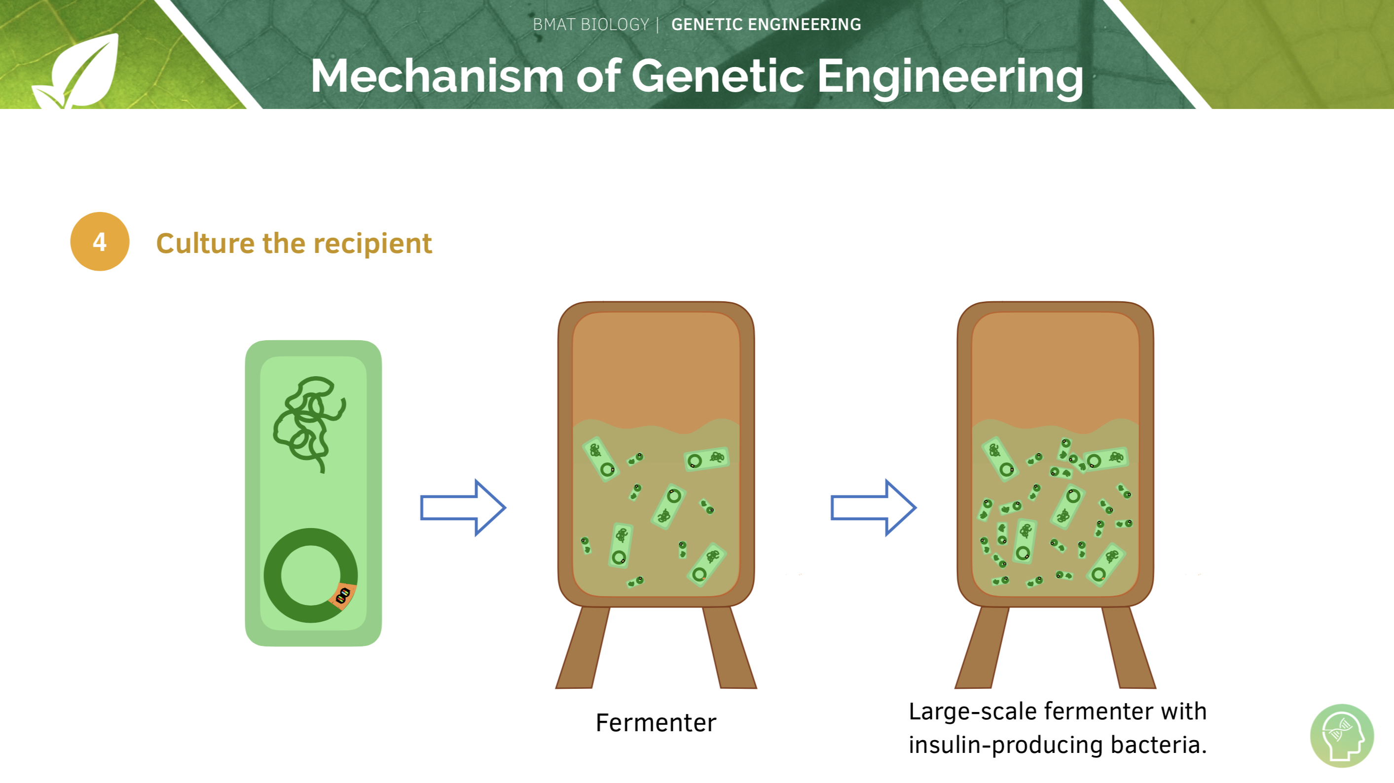 Inheritance and Environment