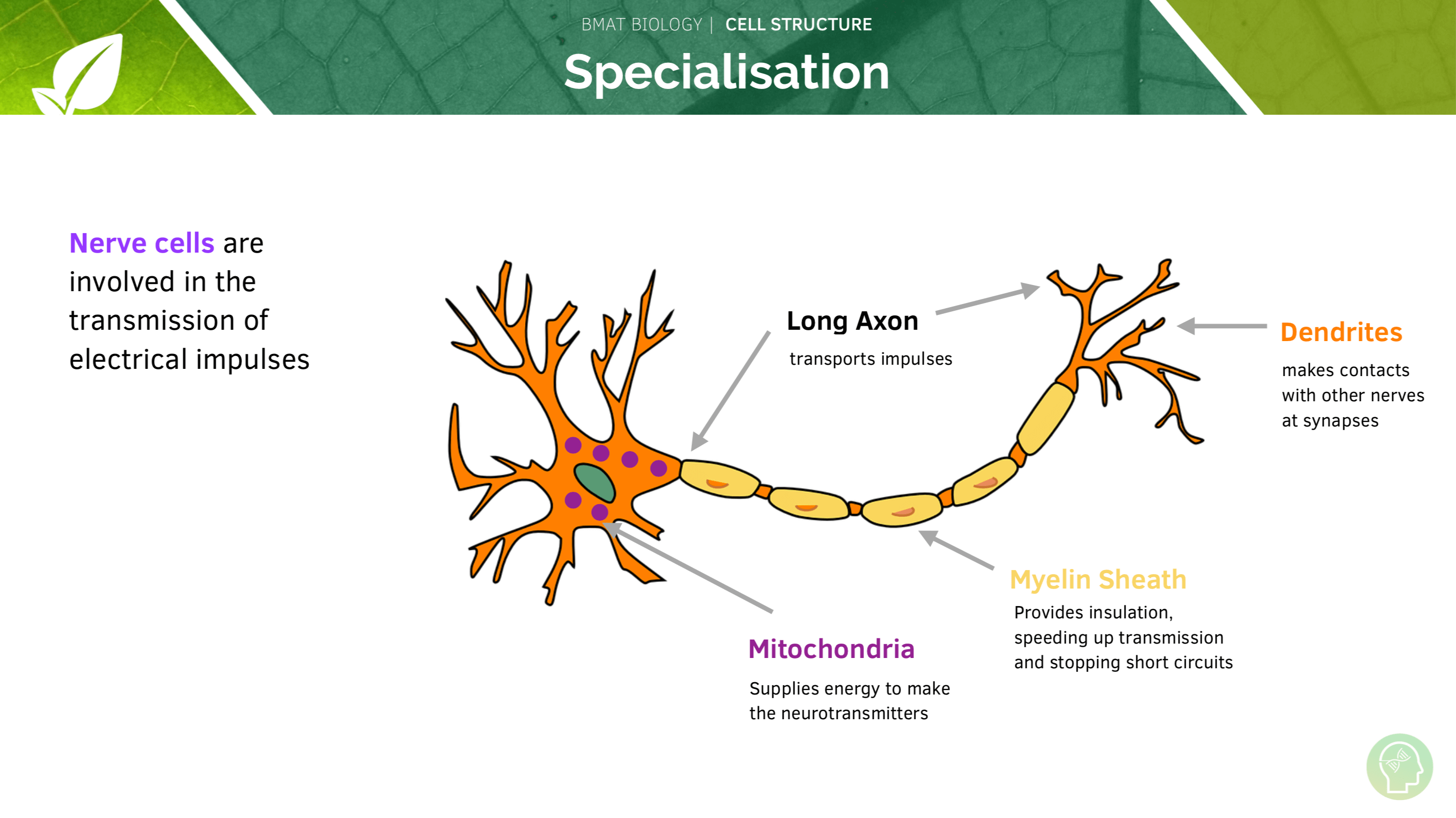 Genetic Engineering