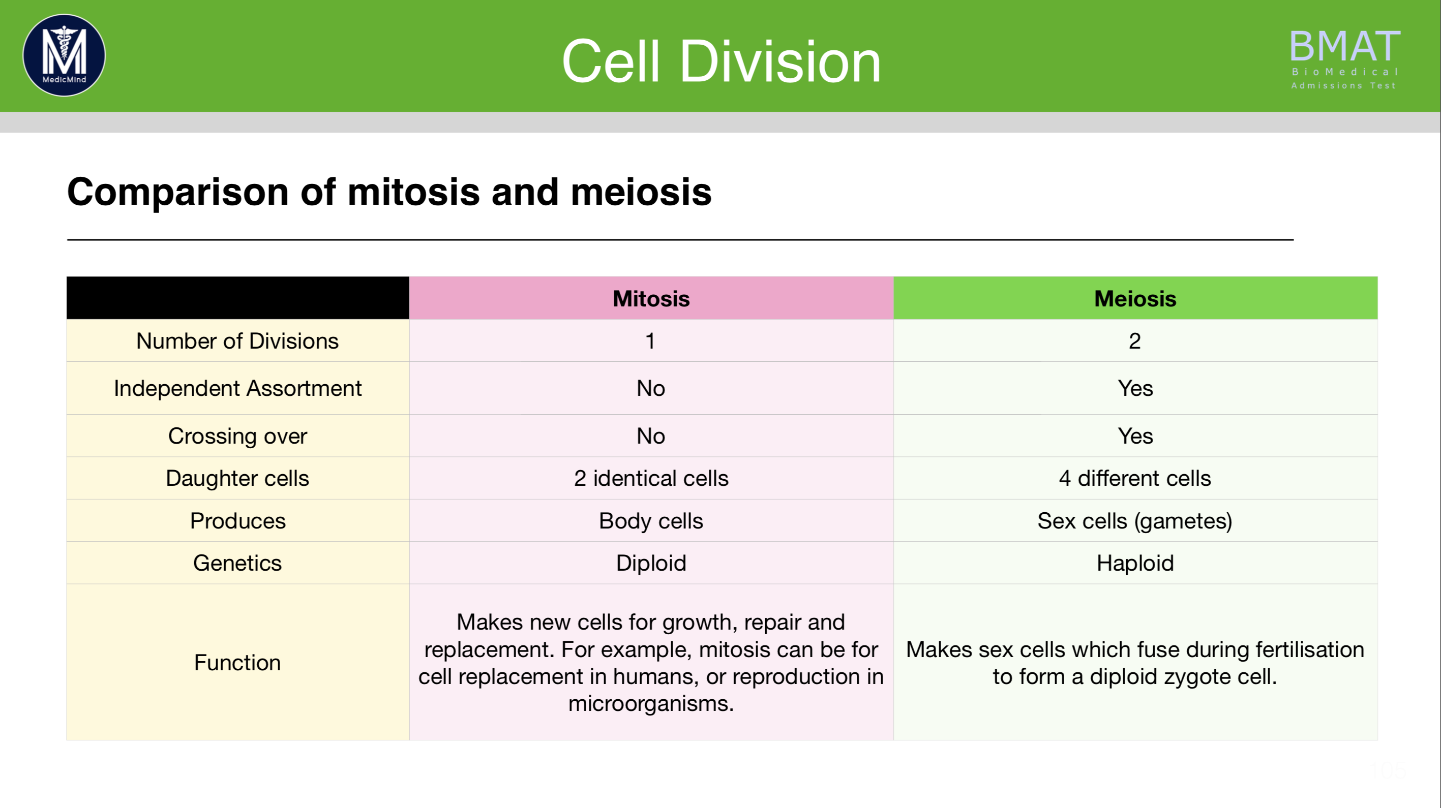 Cell Structure