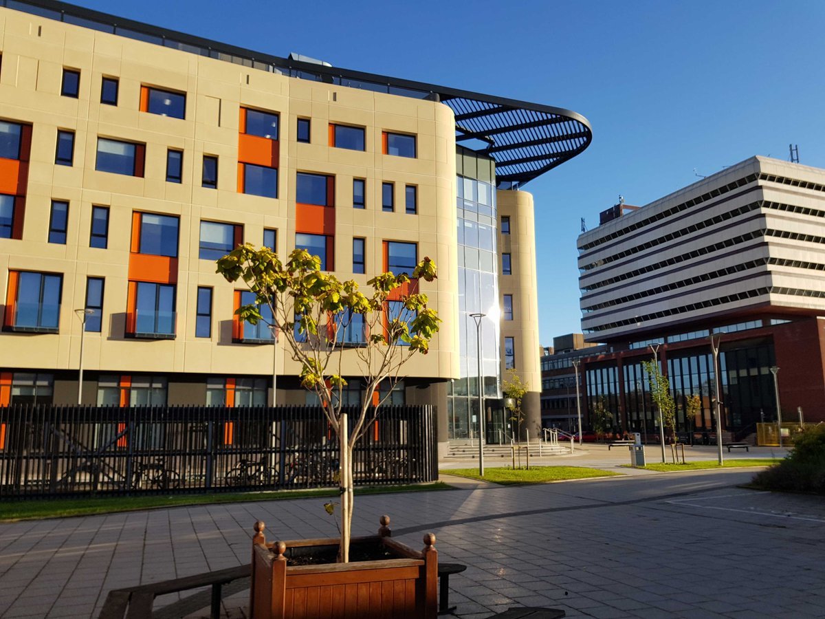 Hull York Medical School (Gateway to Medicine) Medic Mind