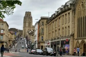 Bristol Veterinary Interview Questions