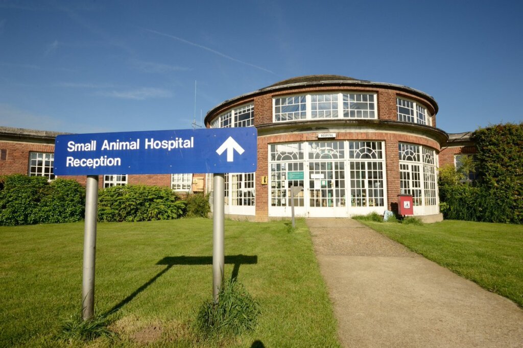 CAMBRIDGE VETERINARY SCHOOL: Cambridge is one of the World’s most prestigious universities and has an internationally renowned reputation for excellence in teaching and research. It has been ranked 7th in the world for Veterinary Medicine by the QS World University Rankings 2020. 