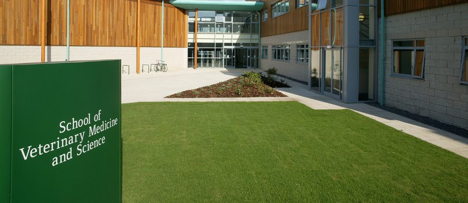 NOTTINGHAM VETERINARY SCHOOL: Nottingham is a highly ranked Vet School, ranking in the top 40 Veterinary Schools worldwide. The university has also been ranked 2nd in the UK for research power, meaning students will benefit from excellent academic opportunities as well as clinical.