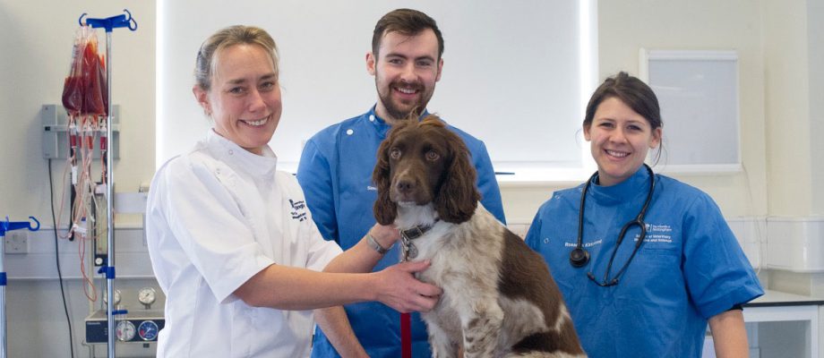 AWARD WINNING: Nottingham’s world class research has also impacted its teaching. In 2016, the Vet School was awarded an ASPIRE award. It is the only veterinary school to hold this award worldwide. The award recognises excellence in student engagement and in particular, the way staff work with students, engaging them fully in the academic community, extracurricular activities and community work.