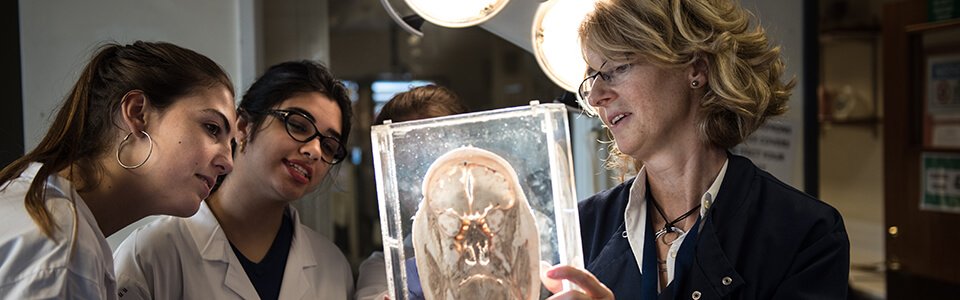 PLACEMENTS: Having a GP placement each module gives students the chance to practise their clinical skills. The fact that Nottingham is not a traditional medical school where you wait until second or third year before you can see patients, may appeal to students who are looking for early patient contact. Nottingham also does full body dissections which may be important for some applicants.