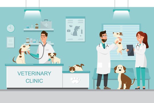 Concluding Veterinary Personal Statement Veterinary Clinic Cartoon