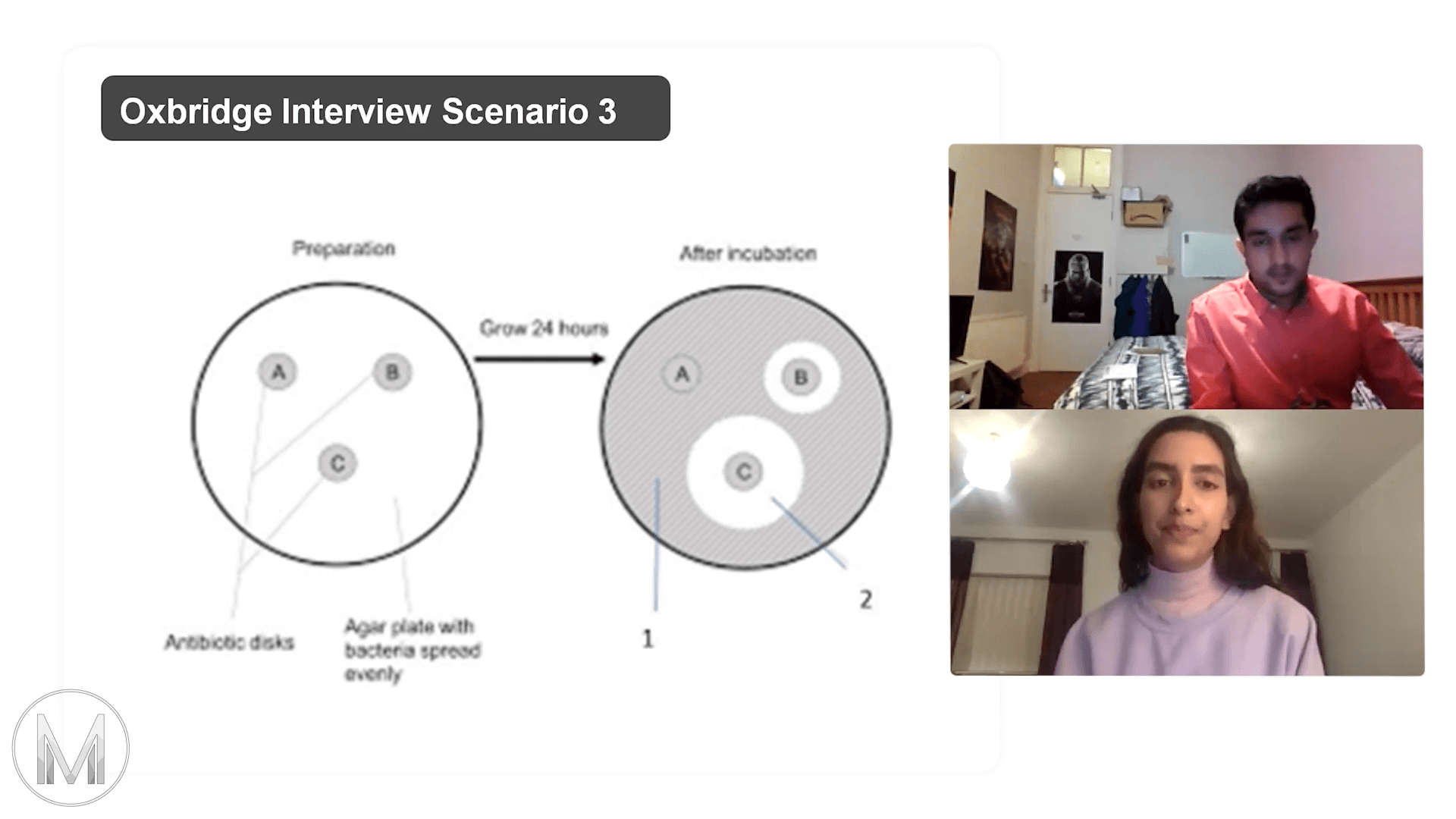 Oxbridge Mock Interview 3 - Antibiotics