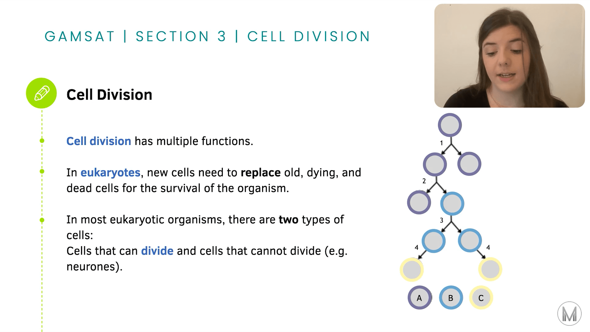 GAMSAT S3 Biology Cell Division