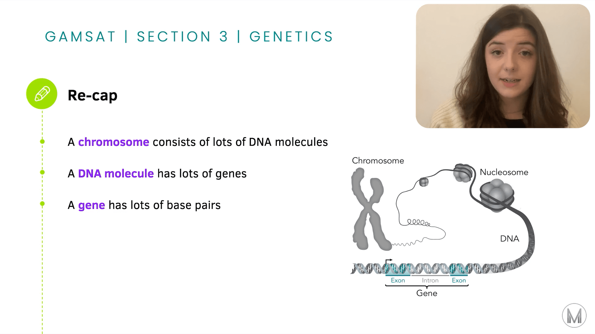 GAMSAT S3 | Genetics