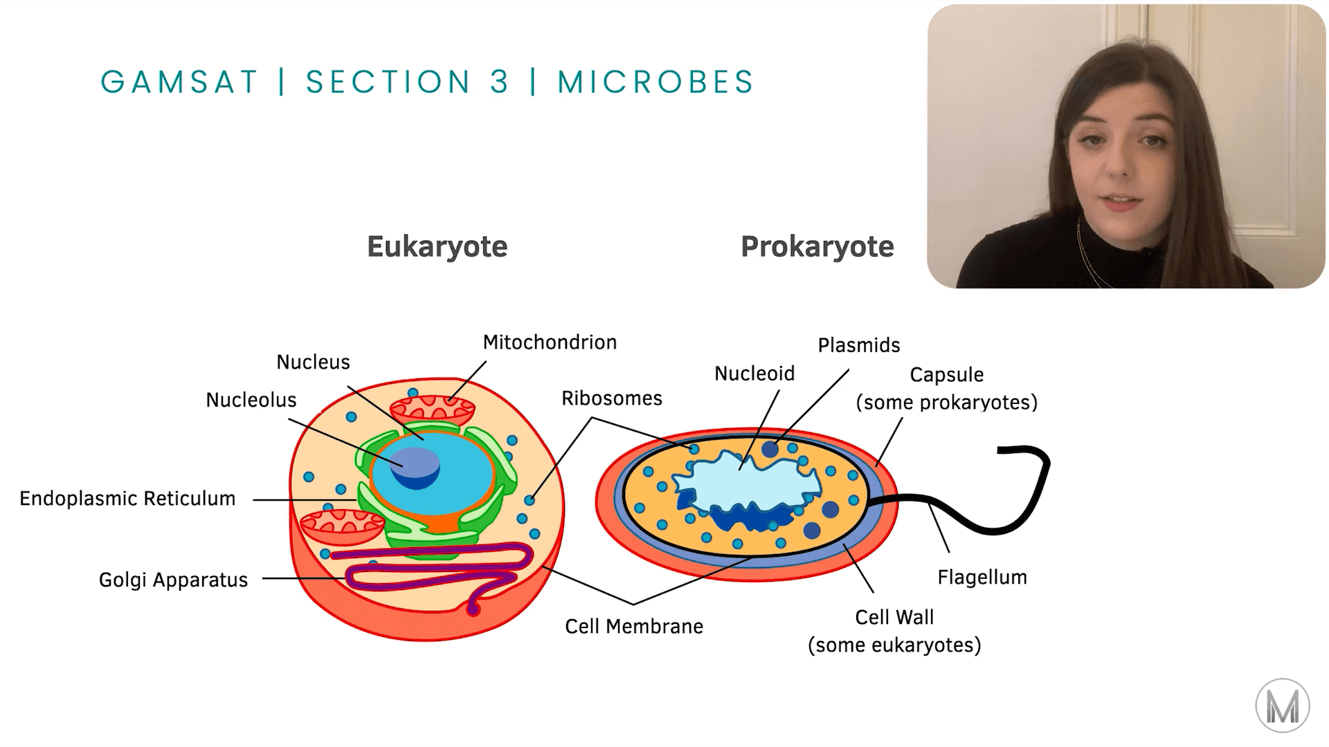 GAMSAT S3 | Microbes