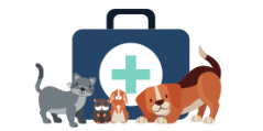 Veterinary Medicine Tutor