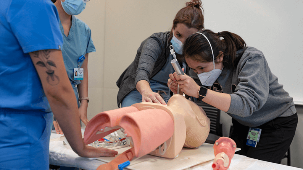 How to Reflect on Medical Work Experience A Beginner
