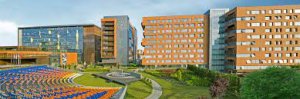 <strong>Acibadem University</strong>