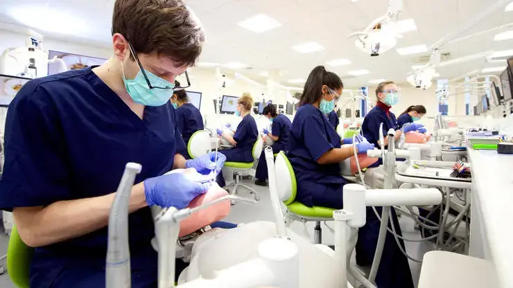 dentistry work experience