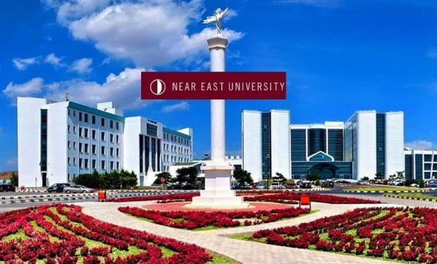 Near East University, medical school