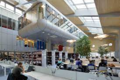 Medical students, studying in the library