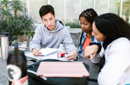 medical school study group