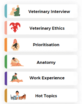 vet interview live day