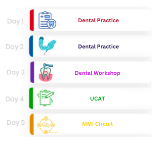 dentistry wex