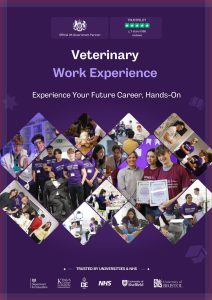 vet work experience
